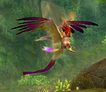 Pluma wiki hotsell