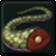 Tail.gif