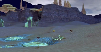 Western Eracus Desert