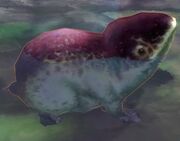 Eine amphibienartige Kreatur