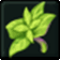 Kandula.gif