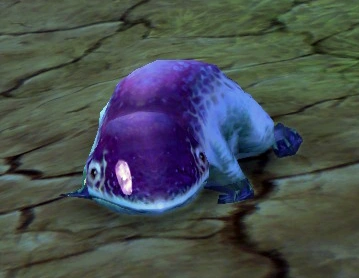 Mud Ribbit | Aion Wiki | Fandom