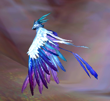 Pluma wiki cheap