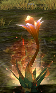Iodra Flower