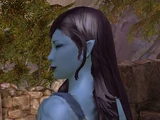 Aukra