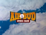 Air Bud: Spikes Back