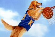 Air-bud-tout