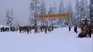 Ferntiuktuk Dog Sled Race
