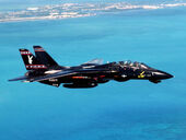 F-14 - Tomcat-1-