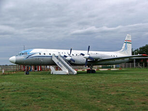 MALEV IL-18