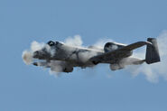 The A-10 is an example for ground attack planes. It's gun is a deadly tool designed for "tank busting."