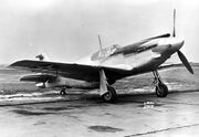 800px-XP-51, serial number 41-039