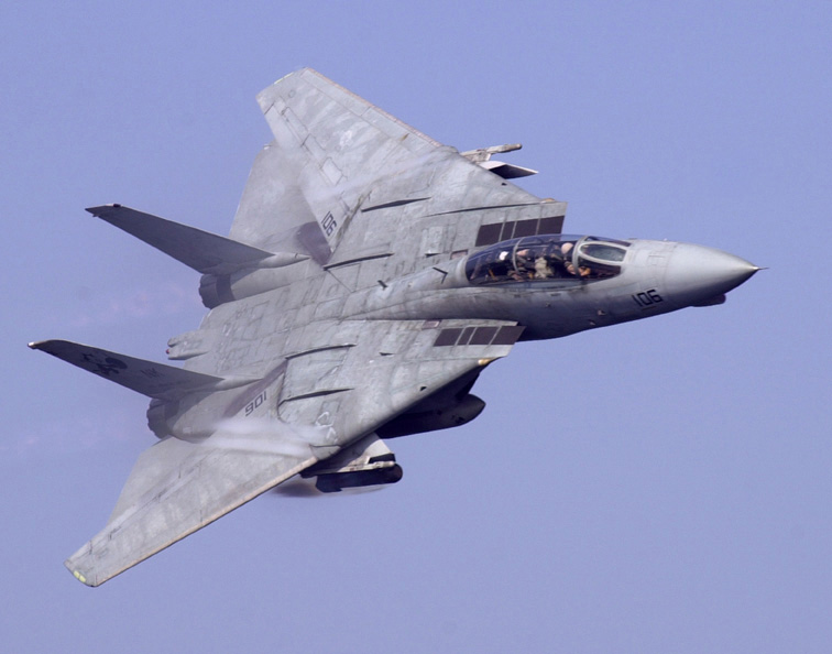 Grumman F-14 Tomcat | Aircraft Wiki | Fandom