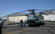 800px-MH-47.Chinook (1).jpg (75 KB)