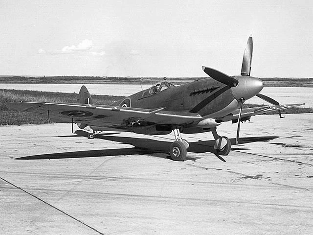 Supermarine Seafire | Aircraft Wiki | Fandom