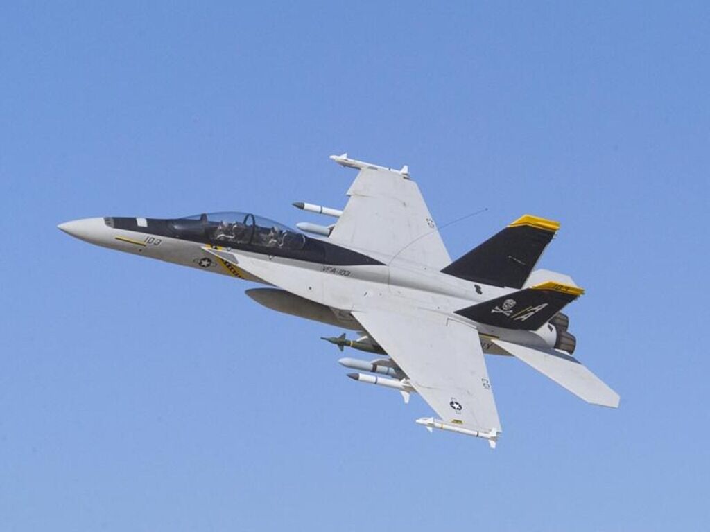航空機・ヘリコプター 73 HerpaBoeing F/A-18F Super Hornet 73 HerpaBoeing F/A-18F Super Hornet