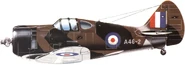 A plane owned by the RAAF (Royal Canadian Air Force)