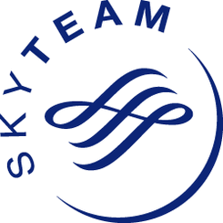 Skyteam logo 2671