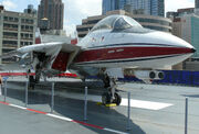 Grumman F-14 Tomcat 2