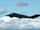 F-117 Stealth.jpg