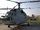 Kamov Ka-31