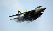 F-14 Tomcat VF-31 2006