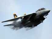 Ws Grumman F-14 Tomcat 1024x768