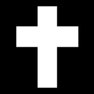 Symbol used to represent the developer online.