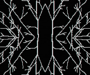 Scene 6: Rows of trees with a symmetry effect.