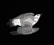 Scene 24: "There's a black-winged gull with a broken back."