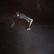 An edited photo depicting Michael in real life.[25]