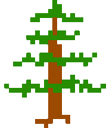 Slowed down version of the tree morphing into a Demon.