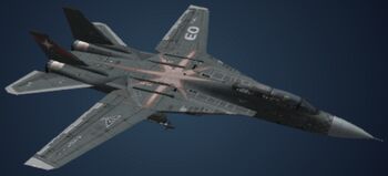 F-14D Ruth Valentine 1