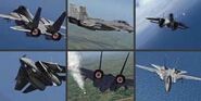 F-14D Tomcat collage.