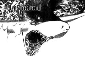 Agito shadow2.jpg
