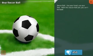 Soccer Ball (Football)