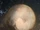 Pluto
