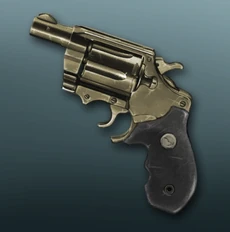 Holdout Pistol