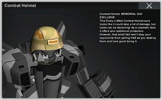 Combat Helmet