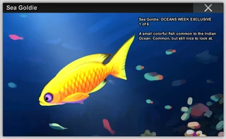 Sea Goldie.png (367 KB) Sea Goldie