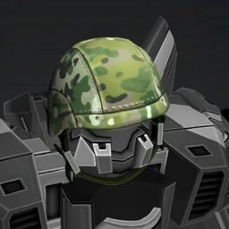 Camo Helmet Crop
