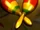 Maracas
