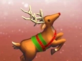 Reindeer