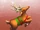 Reindeer