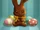 Chocolate Bunny