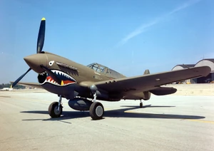 Curtiss P-40E Warhawk 2 USAF