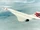 British Aerospace/Aérospatiale Concorde