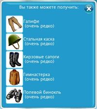 Festung Brest Items.jpg