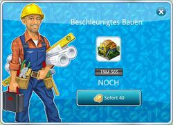 Brasilianisches Haus Bau2.jpg
