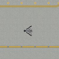 Bird1.jpg